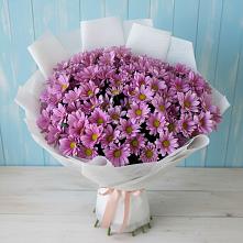 Букет цветов из:  Хризантемы в Коврове