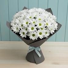 Букет цветов из:  Хризантемы в Коврове