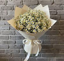 Букет цветов из:  Ромашки в Коврове