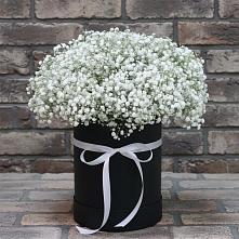 Цветочная композиция из Гипсофила в шляпной коробке в Коврове