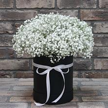 Цветочная композиция из Гипсофила в шляпной коробке в Коврове