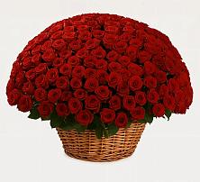 Премиум букет из: Розы в Коврове